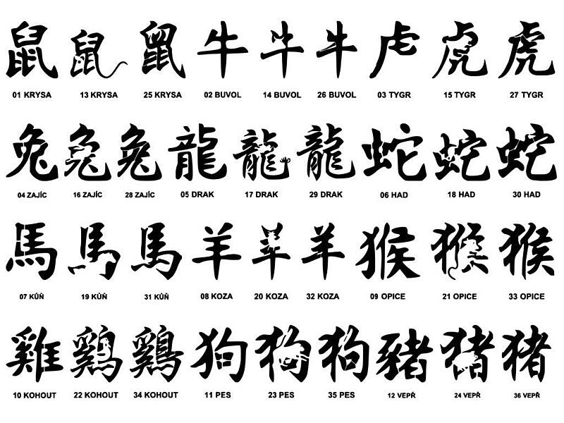 Kniha šablon pro airbrush dočasné tetování 01